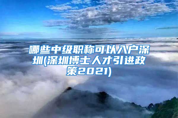 哪些中級(jí)職稱可以入戶深圳(深圳博士人才引進(jìn)政策2021)