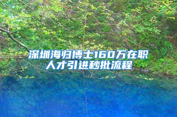 深圳海歸博士160萬在職人才引進(jìn)秒批流程