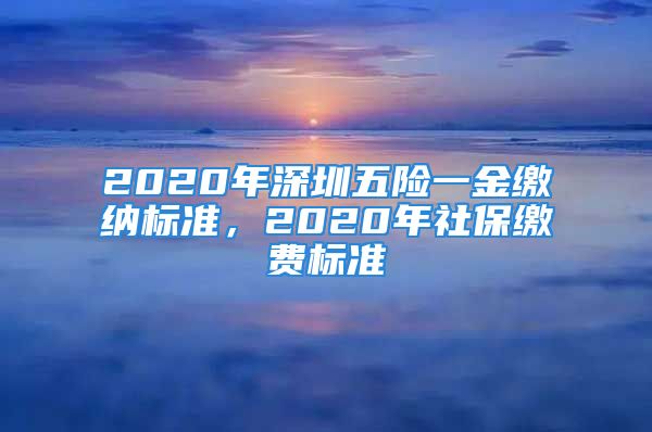 2020年深圳五險(xiǎn)一金繳納標(biāo)準(zhǔn)，2020年社保繳費(fèi)標(biāo)準(zhǔn)