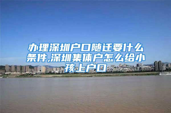 辦理深圳戶口隨遷要什么條件,深圳集體戶怎么給小孩上戶口