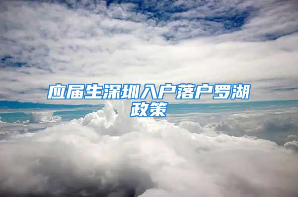 應屆生深圳入戶落戶羅湖政策