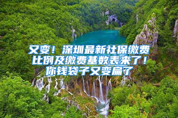 又變！深圳最新社保繳費(fèi)比例及繳費(fèi)基數(shù)表來了！你錢袋子又變扁了