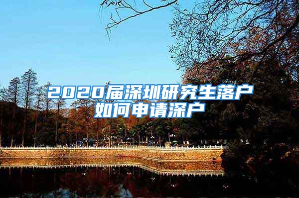 2020屆深圳研究生落戶如何申請(qǐng)深戶