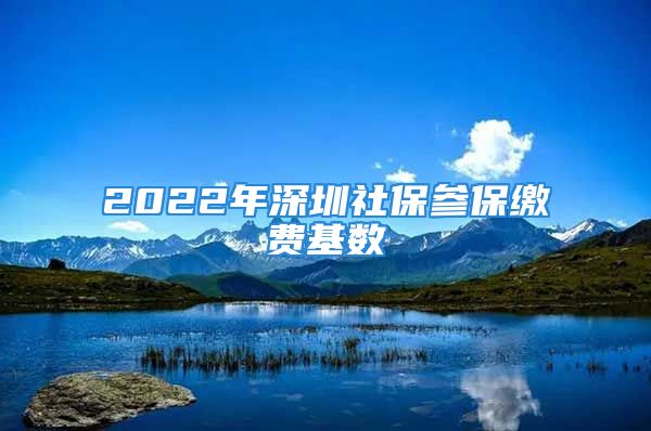 2022年深圳社保參保繳費基數(shù)