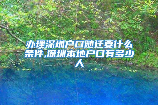 辦理深圳戶口隨遷要什么條件,深圳本地戶口有多少人