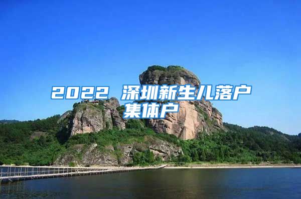 2022 深圳新生兒落戶集體戶