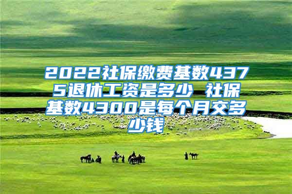 2022社保繳費(fèi)基數(shù)4375退休工資是多少 社保基數(shù)4300是每個月交多少錢