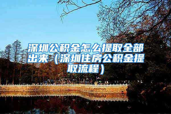 深圳公積金怎么提取全部出來(lái)（深圳住房公積金提取流程）