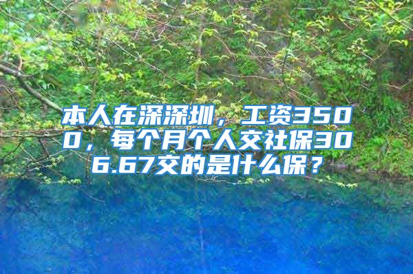 本人在深深圳，工資3500，每個月個人交社保306.67交的是什么保？