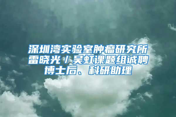 深圳灣實驗室腫瘤研究所雷曉光／吳虹課題組誠聘博士后、科研助理