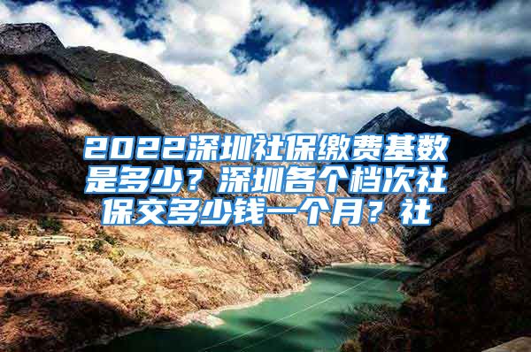 2022深圳社保繳費(fèi)基數(shù)是多少？深圳各個(gè)檔次社保交多少錢一個(gè)月？社