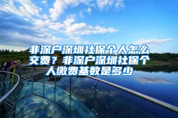 非深戶深圳社保個(gè)人怎么交費(fèi)？非深戶深圳社保個(gè)人繳費(fèi)基數(shù)是多少