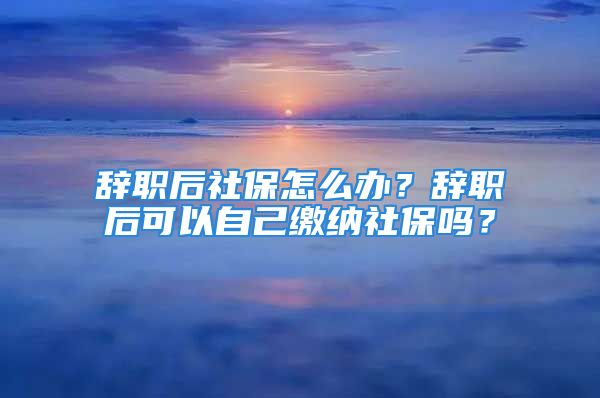 辭職后社保怎么辦？辭職后可以自己繳納社保嗎？