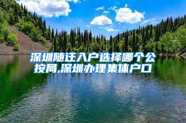 深圳隨遷入戶選擇哪個公按局,深圳辦理集體戶口