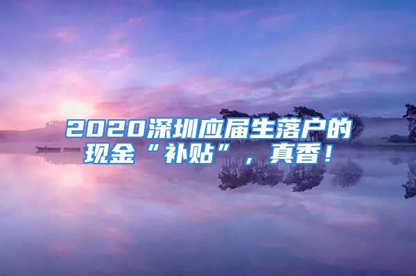 2020深圳應(yīng)屆生落戶的現(xiàn)金“補(bǔ)貼”，真香！