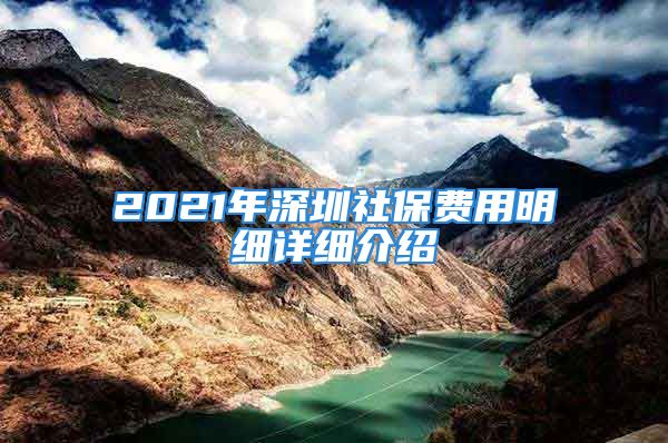 2021年深圳社保費(fèi)用明細(xì)詳細(xì)介紹