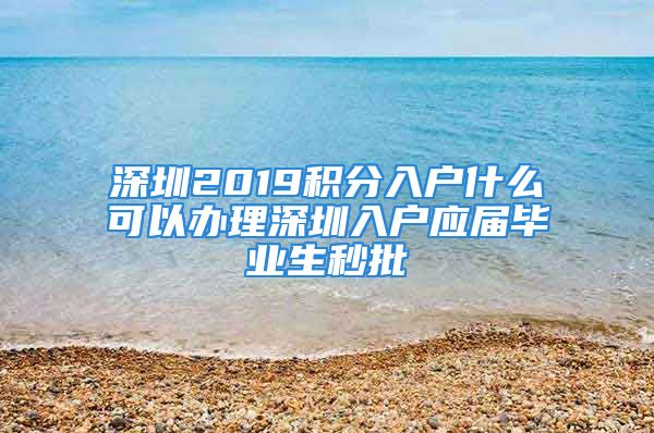 深圳2019積分入戶什么可以辦理深圳入戶應屆畢業(yè)生秒批