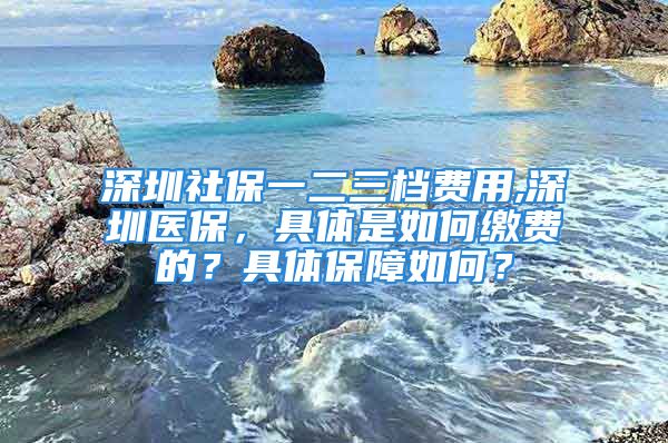 深圳社保一二三檔費(fèi)用,深圳醫(yī)保，具體是如何繳費(fèi)的？具體保障如何？