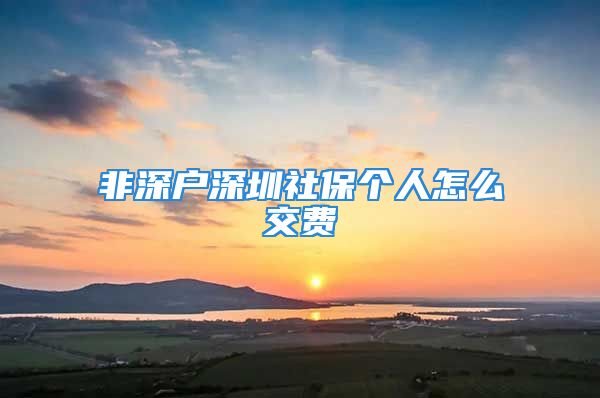 非深戶深圳社保個(gè)人怎么交費(fèi)