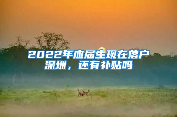 2022年應屆生現(xiàn)在落戶深圳，還有補貼嗎