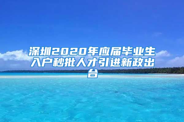 深圳2020年應(yīng)屆畢業(yè)生入戶秒批人才引進新政出臺