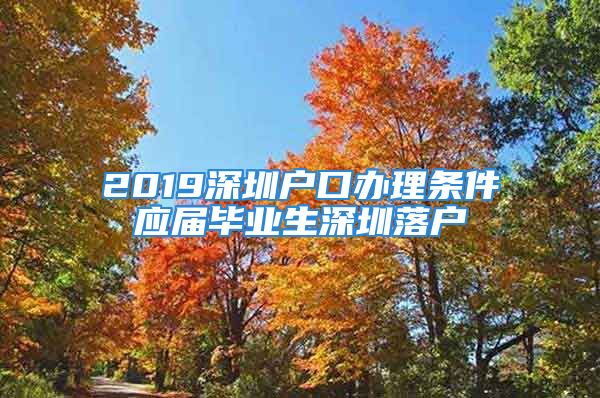 2019深圳戶口辦理?xiàng)l件應(yīng)屆畢業(yè)生深圳落戶