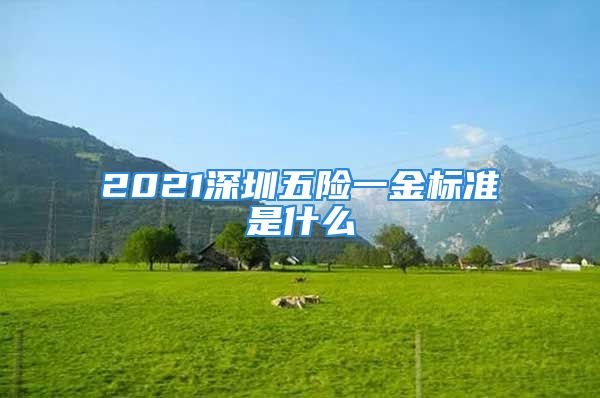 2021深圳五險(xiǎn)一金標(biāo)準(zhǔn)是什么