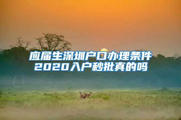 應(yīng)屆生深圳戶口辦理?xiàng)l件2020入戶秒批真的嗎