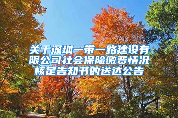 關(guān)于深圳一帶一路建設(shè)有限公司社會保險繳費情況核定告知書的送達公告