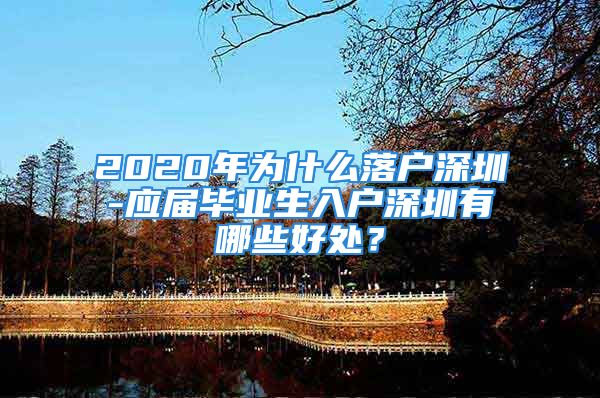 2020年為什么落戶深圳-應(yīng)屆畢業(yè)生入戶深圳有哪些好處？