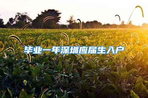 畢業(yè)一年深圳應屆生入戶