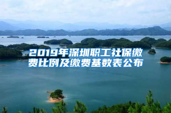 2019年深圳職工社保繳費(fèi)比例及繳費(fèi)基數(shù)表公布