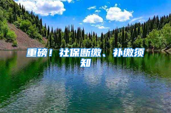 重磅！社保斷繳、補(bǔ)繳須知