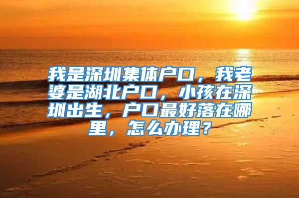 我是深圳集體戶口，我老婆是湖北戶口，小孩在深圳出生，戶口最好落在哪里，怎么辦理？