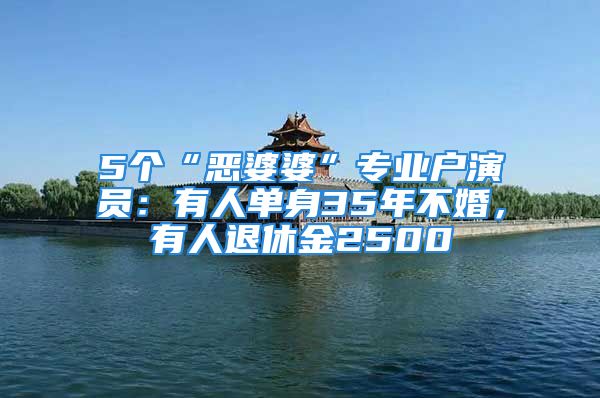 5個“惡婆婆”專業(yè)戶演員：有人單身35年不婚，有人退休金2500