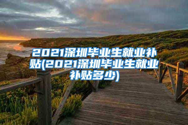 2021深圳畢業(yè)生就業(yè)補(bǔ)貼(2021深圳畢業(yè)生就業(yè)補(bǔ)貼多少)