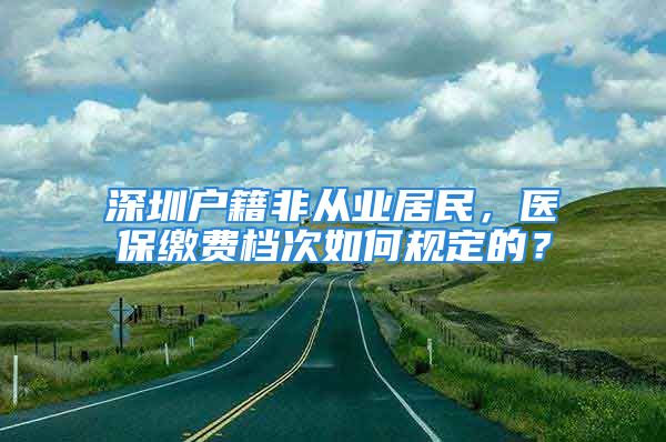 深圳戶籍非從業(yè)居民，醫(yī)保繳費檔次如何規(guī)定的？