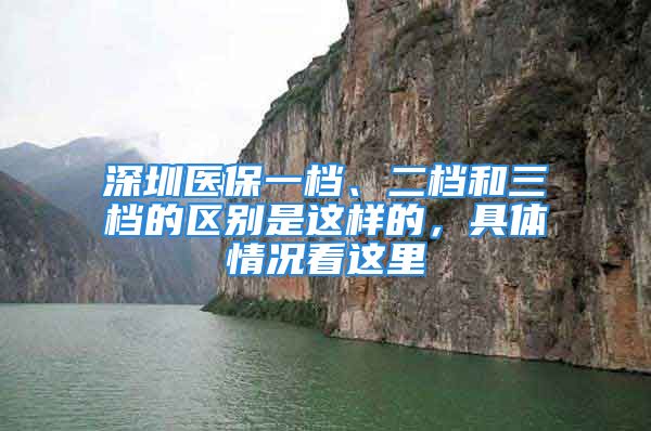 深圳醫(yī)保一檔、二檔和三檔的區(qū)別是這樣的，具體情況看這里