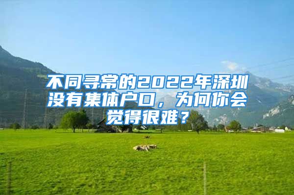 不同尋常的2022年深圳沒有集體戶口，為何你會覺得很難？