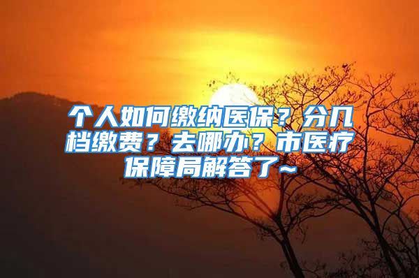 個人如何繳納醫(yī)保？分幾檔繳費？去哪辦？市醫(yī)療保障局解答了~