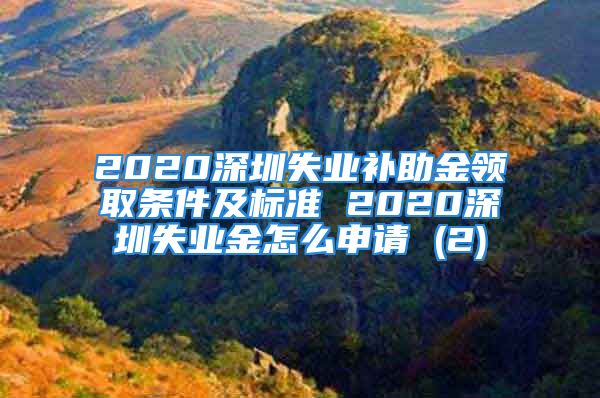 2020深圳失業(yè)補(bǔ)助金領(lǐng)取條件及標(biāo)準(zhǔn) 2020深圳失業(yè)金怎么申請(qǐng) (2)