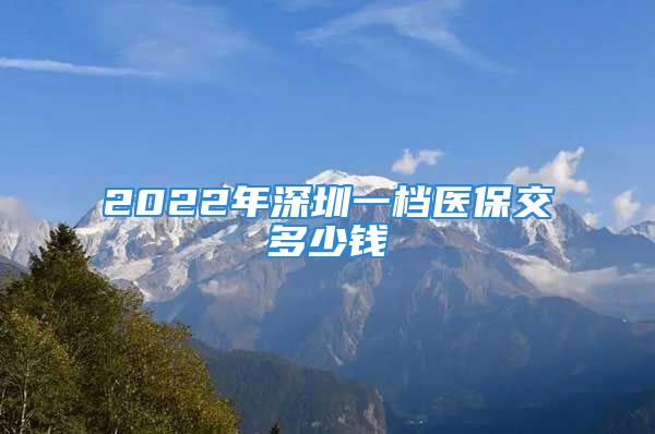 2022年深圳一檔醫(yī)保交多少錢