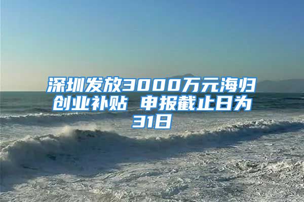 深圳發(fā)放3000萬元海歸創(chuàng)業(yè)補(bǔ)貼 申報(bào)截止日為31日