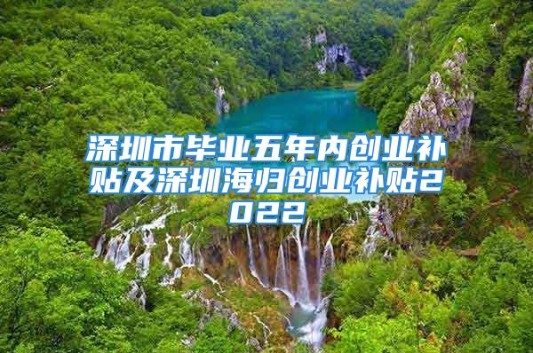 深圳市畢業(yè)五年內(nèi)創(chuàng)業(yè)補貼及深圳海歸創(chuàng)業(yè)補貼2022