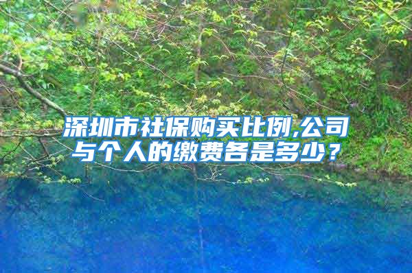 深圳市社保購買比例,公司與個(gè)人的繳費(fèi)各是多少？