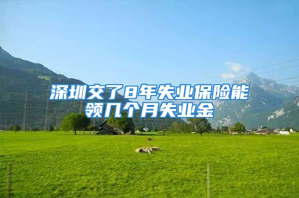 深圳交了8年失業(yè)保險能領幾個月失業(yè)金