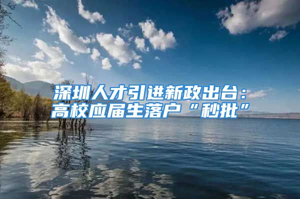 深圳人才引進新政出臺：高校應(yīng)屆生落戶“秒批”