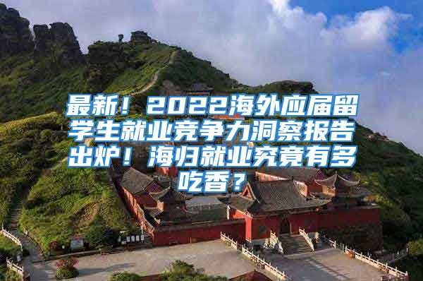 最新！2022海外應(yīng)屆留學(xué)生就業(yè)競爭力洞察報告出爐！海歸就業(yè)究竟有多吃香？