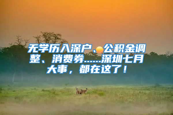 無學歷入深戶、公積金調整、消費券......深圳七月大事，都在這了！