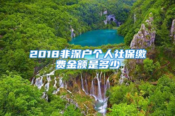 2018非深戶個(gè)人社保繳費(fèi)金額是多少